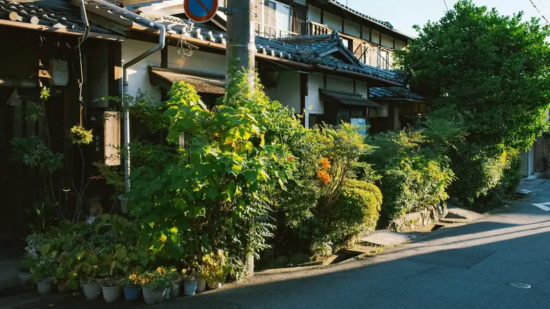 朝の光が差す住宅街の通り